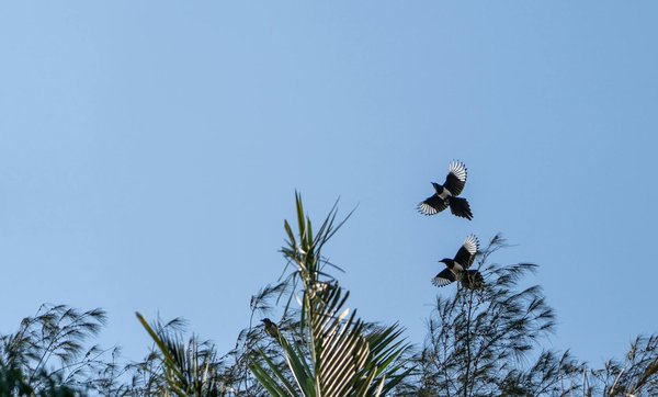 What is the role of telemedicine in UK healthcare?